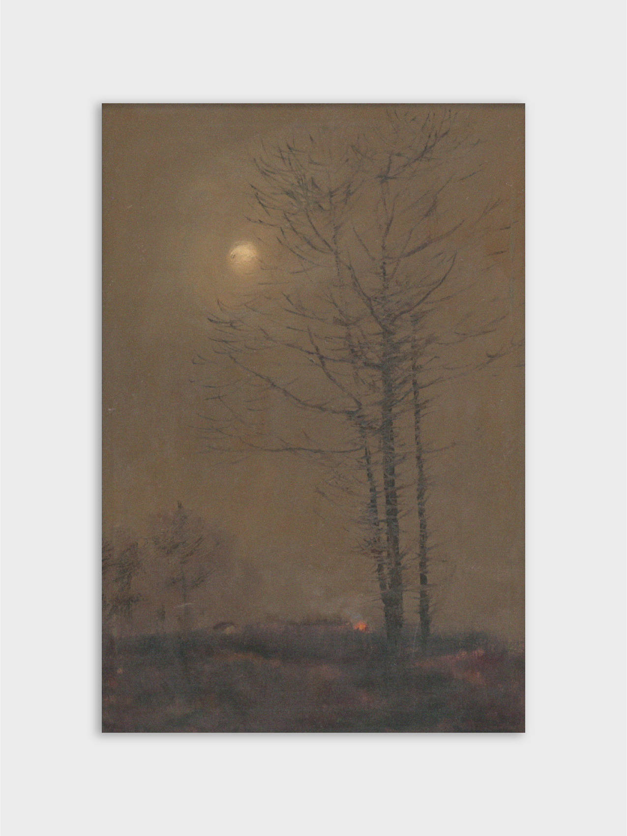 Evening Landscape