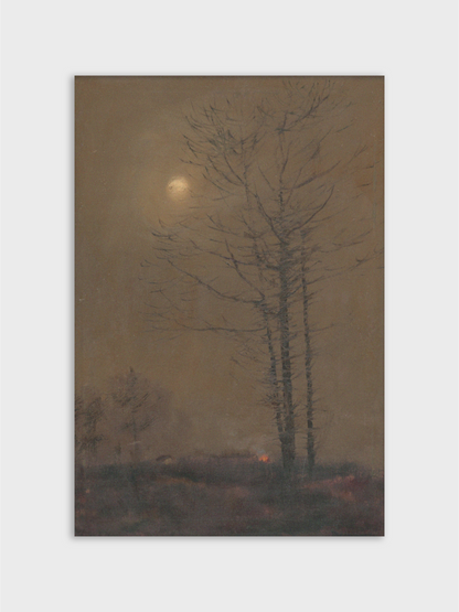 Evening Landscape