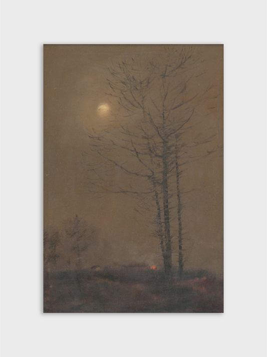 Evening Landscape