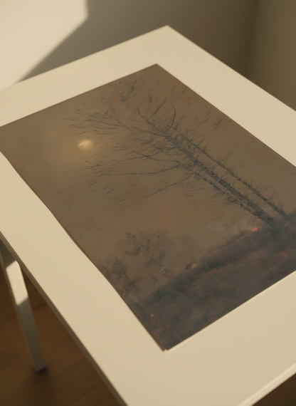 Evening Landscape
