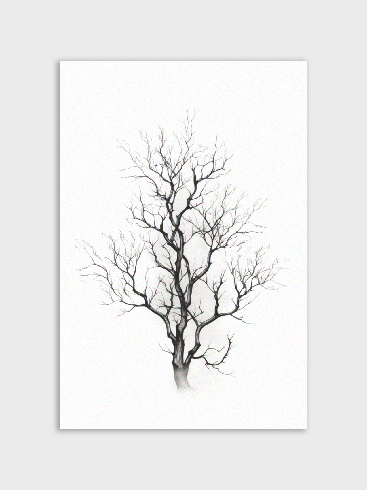 Blackwood Tree