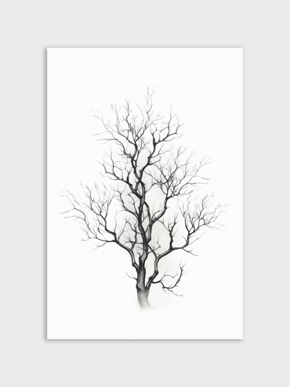 Blackwood Tree