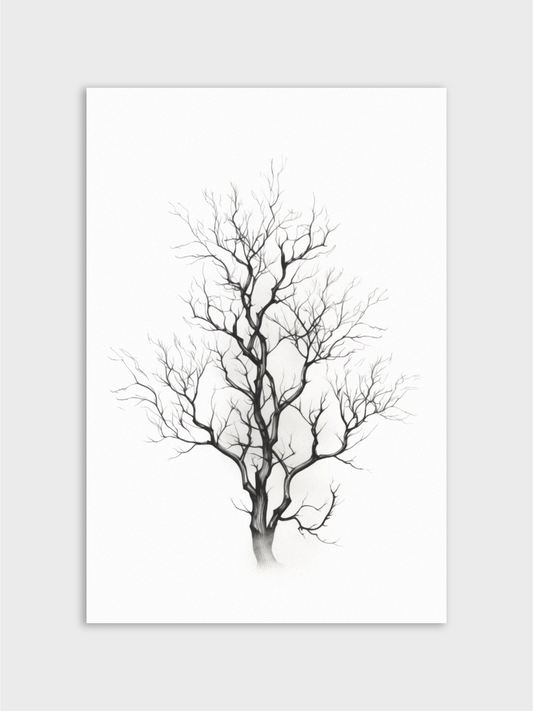 Blackwood Tree